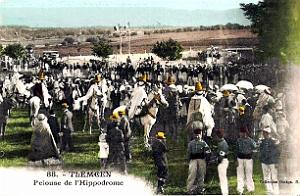 2480- Tlemcen - Hippodrome - Pelouse